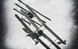 Survivorship Bias (Symbolbild; Photo Tony Hisgett, CC BY 2.0 Lizenz)